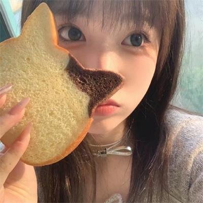 狼群出动 封面